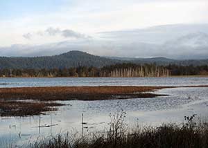 Smith River Estuary Tour